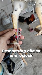 3.6M views · 19K reactions | Tutorial | Cortes Tutorial Vlogs | Facebook