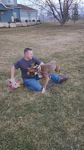 Dirt Roads Rescue on Reels