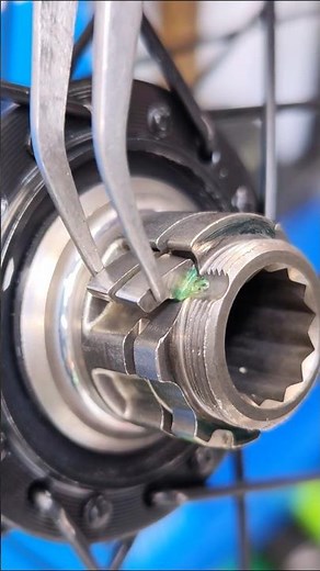 How to properly lubricate and assemble a bicycle freehub mechanism.