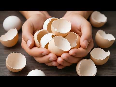 Throwing away Eggshells is a big mistake! Billions of people don’t even know this secret!