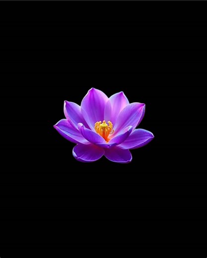 Ne-Yo's Hit Song 'She Knows' Explained