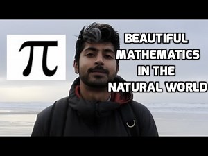 Beautiful Mathematics in the Natural World