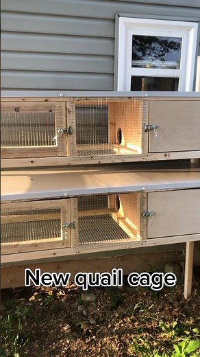 Quail cage