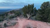 Point of View POV shot of a hiker walking on a trail in Kolob Canyons...