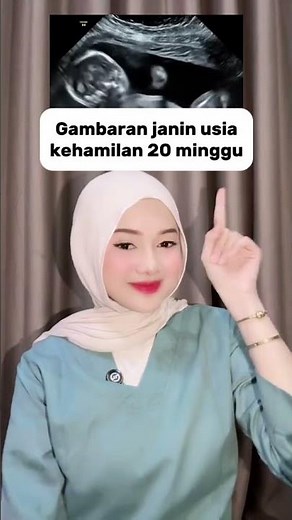Gambaran Janin Usia Kehamilan 20 Minggu - Medikacare
