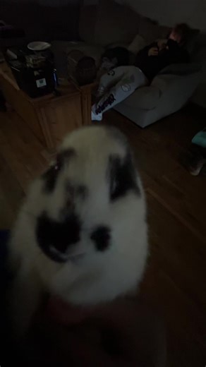cjjs (@cjjs88)’s videos with original sound - cjjs