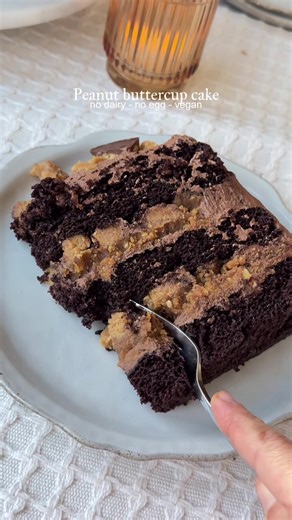 Peanut Buttercup Cake Recipe with Chocolate Layers