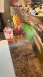 49K views · 835 reactions | North Dakota, you’re on the map!  Marisa is officially our first ND order, so of course she’s getting a free gift! She snagged a Dark Date + a 15-item purple self-care mystery box… and this one turned out chef’s kiss  | Good Girl & Co. | Facebook