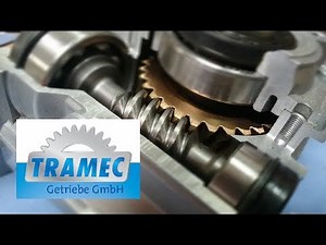 Schneckengetriebe / worm gearbox Funktion Animation | कृमि गियरबॉक्स समारोह