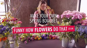 17K views · 83 reactions | For the next episode of our Spring Senses...