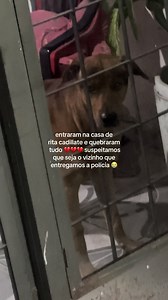 O que aconteceu na casa de Rita Cadillate: vizinho suspeito e objetos quebrados