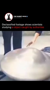 864K views · 4.5K reactions | Declassified footage shows scientists studying a object caught by authorities | The Rabbit Hole | Facebook