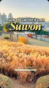 Suwon 1 day itinerary with Kdrama filming location included! autumn in Suwon is like you’re in a kdrama world ✨🫰 Save this video for your next trip. Follow for more. Use my Klook Code: DOCSAMMYKLOOK #AutumnInKorea #suwon1dayitinerary #suwonfilminglocation #kdramafilminglocation #southkorea #docsammy #fyp #travel #klookph #docsammyklook #visitkorea | DocSammy Travels