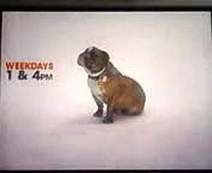 Shamrock's WCIU Commercial