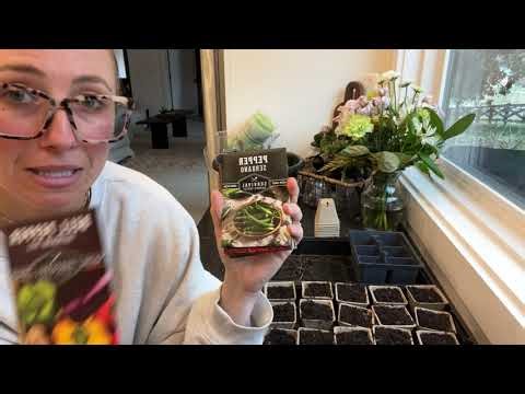 Unboxing - Pepper Seed Variety Pack