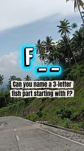 Can you name a 3-letter fish part starting with F? #GuessTheWord #FunQuestion #GlobalRiddle #WhatIsThis | What is this?