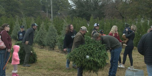 Christmas tree farm kicks off the season