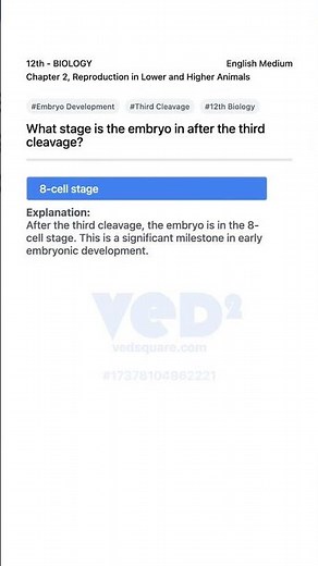 Embryo Development Stage After Third Cleavage 12th Biology
