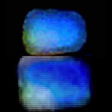 The Mine Song but it’s microscopic (comparison)