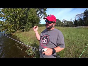 Basic Bank Fishing Rods and Reels