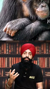 "Heartwarming Moment: Mother Chimpanzee's Love for Her Baby! 🐒❤" #ChimpanzeeMom #AnimalEmotions #WildlifeMoments #MotherlyLove #AnimalKingdom | JoT Tv Australia