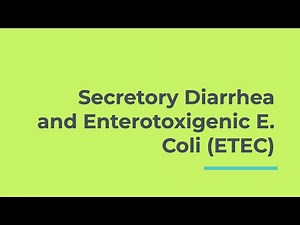Secretory Diarrhea and Enterotoxigenic E. Coli (ETEC)
