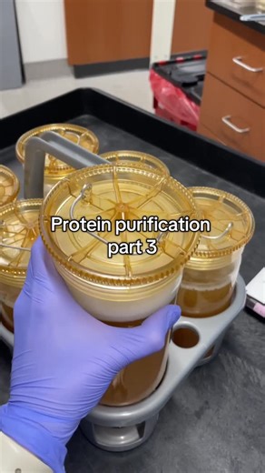 Maddy | PhD Chemistry Candidate 👩‍🔬 on Instagram: "Protein purification part 3! Here I’m getting ready to spin 6 L of bacteria culture down. I use a really big centrifuge so it’s very important to make sure everything is balanced and in the right place! Also placing the rotor in is a workout!! #phd #womeninstem #lab #bacteria #protein #science #research #biochemistry #biology #chemistry #steminist #stem #phdlife #scientist #proteinpurification"