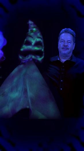 Happy Halloween week, watch me perform #thenightmarebeforechristmas '