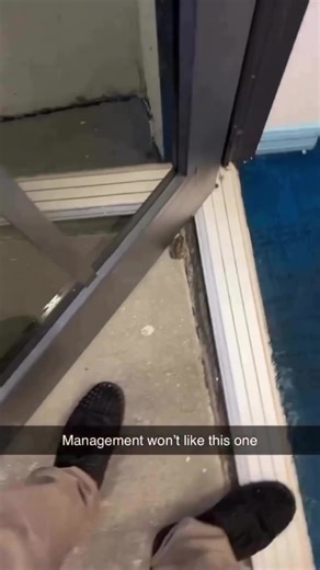 Pookie bear (@taqeemcdaniel)’s video of frog