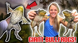 Catching Giant Bullfrogs: Extreme Frogging Tips