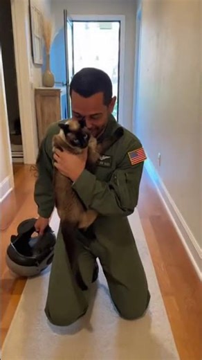 Cat Loses It When Owner Comes Home 🐱❤️ #shorts