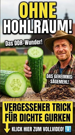 Keine hohlen Gurken mehr! Der geniale Sägemehl-Trick alter Gärtner 🌱