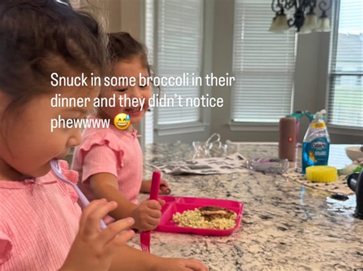 偷偷在猪猪饭里放花椰菜（8.16）