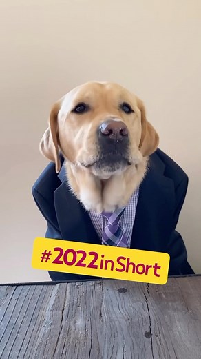 51K views · 1.8K reactions | We wanted to thank EVERYONE for an...