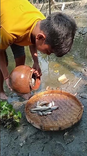 Alien fish, tigrinus catfish, scariest sea creatures ever seen, how to fish, pleco#handfish #fish