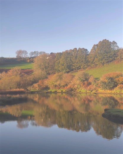 198 reactions · 20 shares | If you’ve not taken the Looe Valley Line in autumn, here’s a glimpse into how special it is at high tide ✨ Plan your trip: https://greatscenicrailways.co.uk/lines/looe-valley-line/ ⚠️ Please note: rail strike action this Saturday, 26 November. | Devon & Cornwall's Great Scenic Railways | Facebook