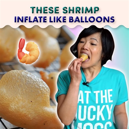 These Shrimps Will Self Inflate Like A Balloon! 🦐 | Emmymade