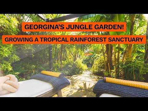 Creating a Relaxing Jungle Garden Escape with Georgina Yates