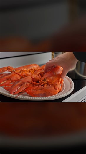Maine Lobster Now 🦞 on Instagram: "'Tis the season for joy and Maine Lobster 🦞"