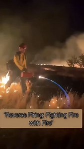 Did you know that in LA, firefighters sometimes use fire itself to suppress large fires? This technique, known as reverse firing, is used when a fire becomes too large to control through conventional methods. Firefighters intentionally set a controlled fire in a specific area ahead of the main fire. This controlled fire burns the fuel in that zone and is extinguished quickly. When the main fire reaches this area, there's nothing left to burn, causing the fire to stop spreading. | Indian Fire Ser