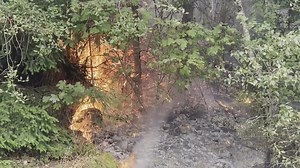 Animated map shows extent of Bolt Creek Fire in Snohomish County