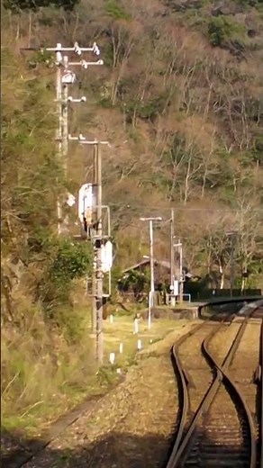 坪尻駅 #秘境駅 #前面展望 #JR四国 #土讃線 #坪尻 #鉄道 #train #shorts #frontview #cabview #スイッチバック