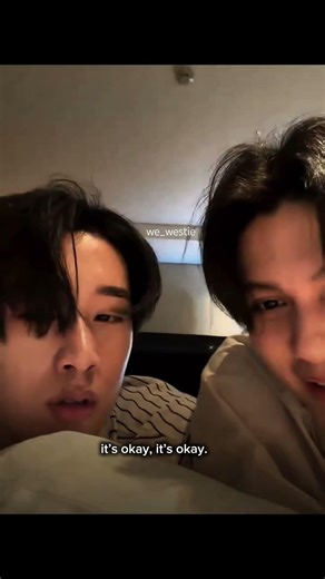 the way they are comforting the westie 😭🤌🏻 #williamest #williamjkp #est_rvp #bl #blshorts #shorts