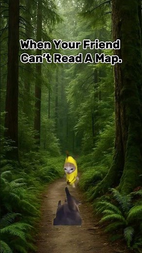CAT MEMES 🐱 When Your Friend Can't Read A Map. #shortvideo #catmemes