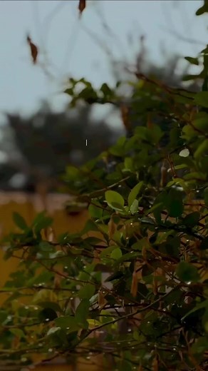 ليالي الغيث: دعاء لرحمة السماء