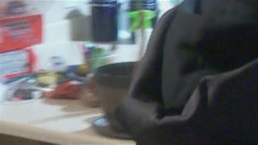 Pacific residents are visiting their homes to assess the damage from December's floods. | KING 5