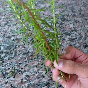 1M views · 9.3K reactions | Women and men in their 40s look 25 with this mix! | Tips and Tricks | Facebook