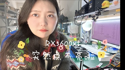 RX5600xt，前一天明明还在正常使用，第二天突然就点不亮了