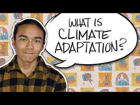 Climate adaptation: What it means and why the world is committing to it