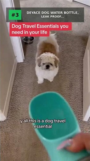 Top 5 Portable Pet Water Bottles 2026 #shorts